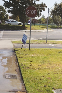 Rebecca Grant/The Runner Runoff water from CSUB’s sprinkler system near Parking Lot K makes the sidewalk unable to  use.