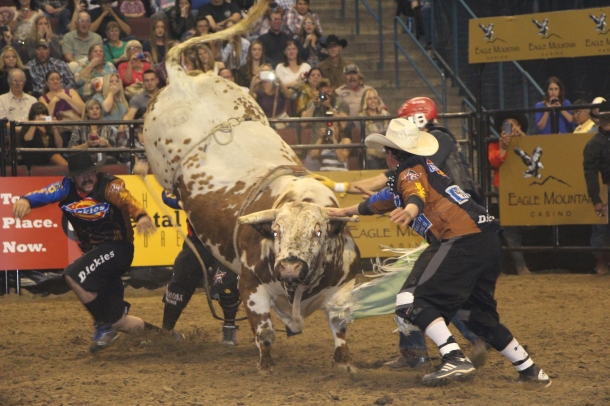 The Rodeo Photo That Took It All
